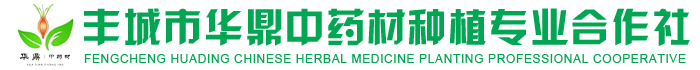 丰城市华鼎中药材种植专业合作社
