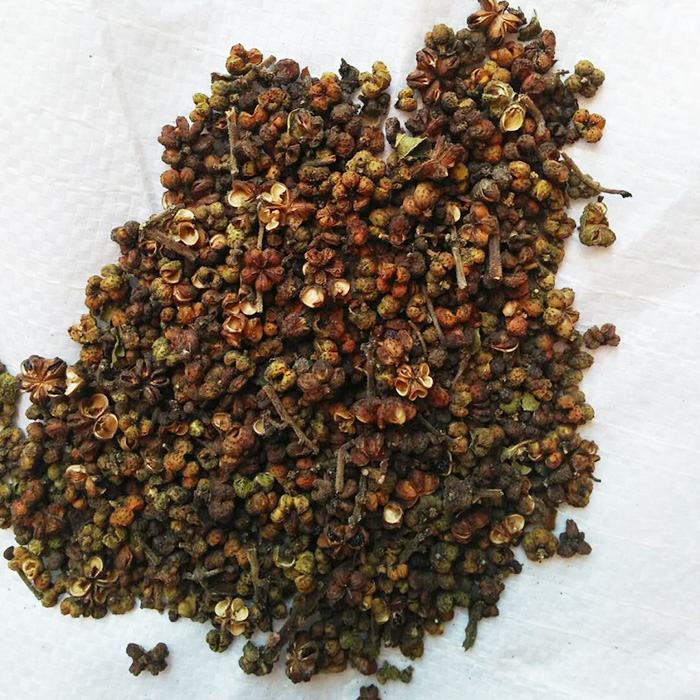 吴茱萸